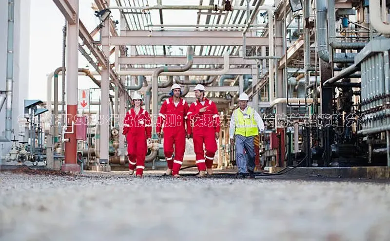 贝博平台网站谁知道