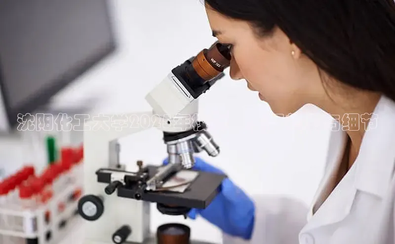 贝博app下载官网下载